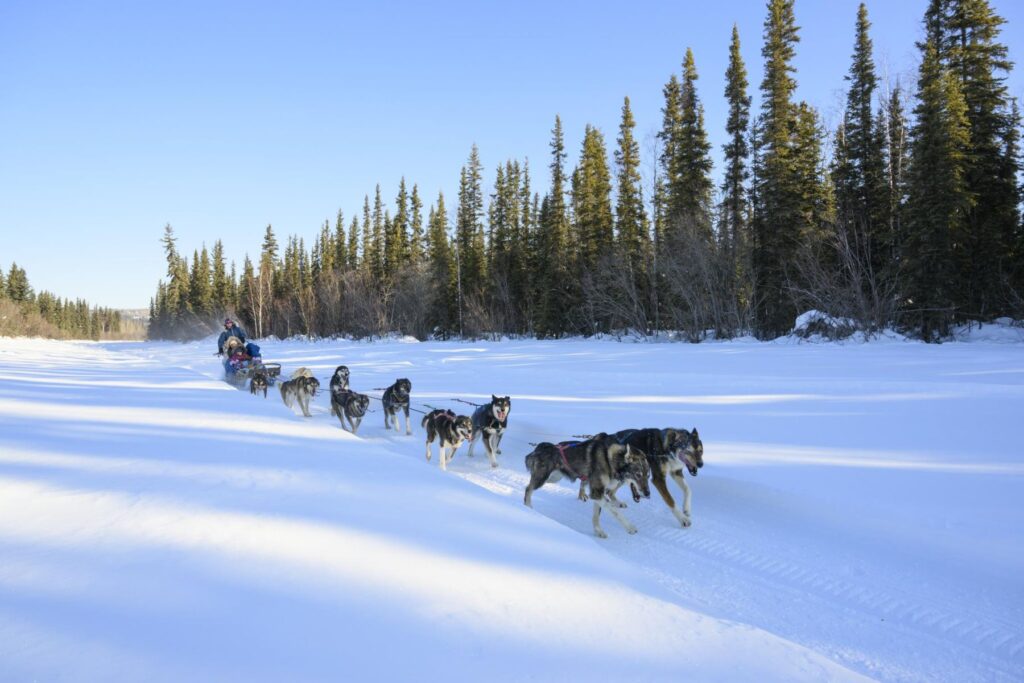 ThingsToDo_Winter Activities_Dog Sledding_(ATIA, Chris McLennan)